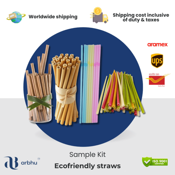 Assorted Disposable Straws Set