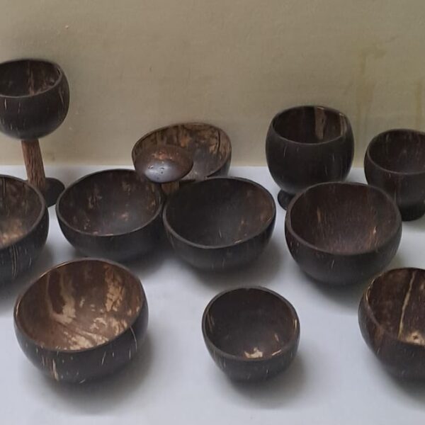 Coconut Shells Bowls and Cups - Sample Set
