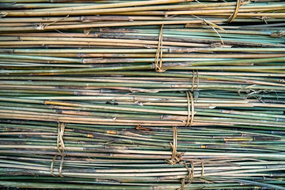 how-long-does-it-take-to-make-bamboo-straws