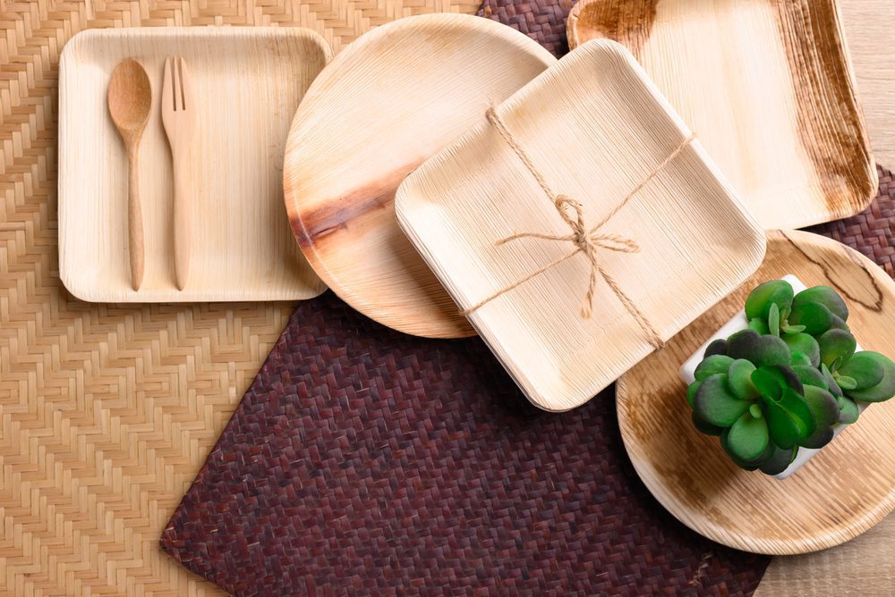 wholesale biodegradable palm leaf plates