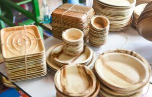 Palm Leaf Plates Manufacturers in the USA Expensive