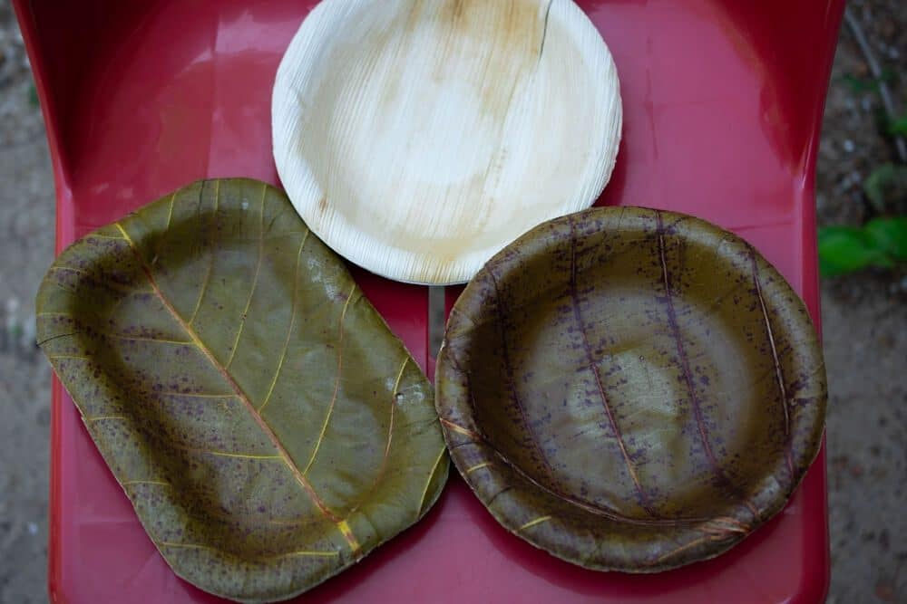 Biodegradable Tableware Manufacturers