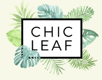 Chic Leaf