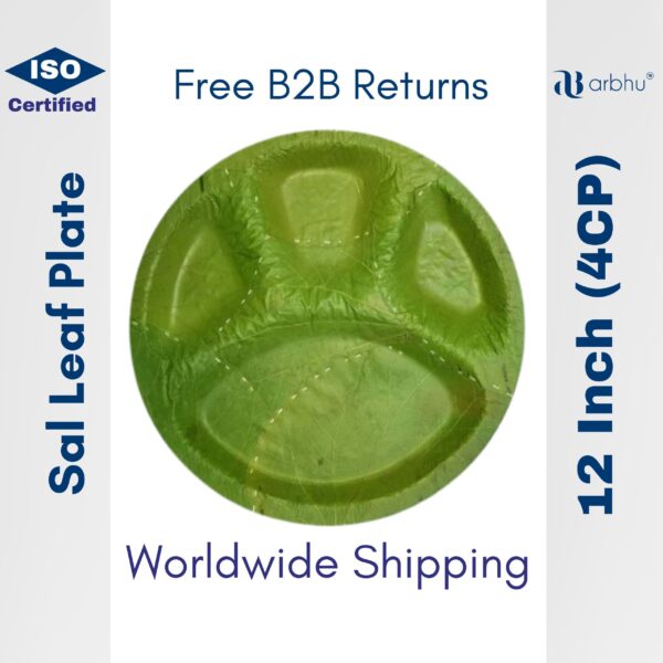Sal leaf disposable compartment plates