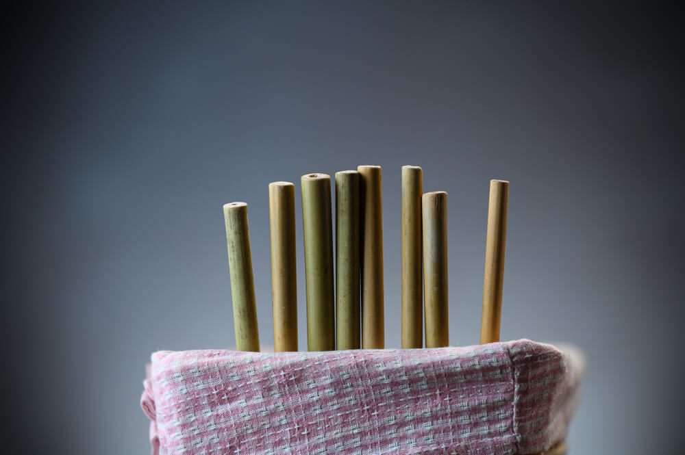 biodegradable straws wholesale