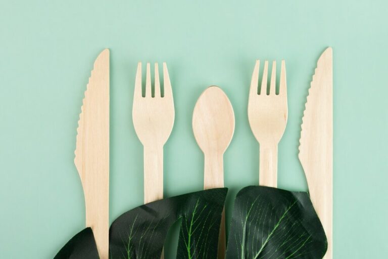 Biodegradable Tableware Manufacturers in India