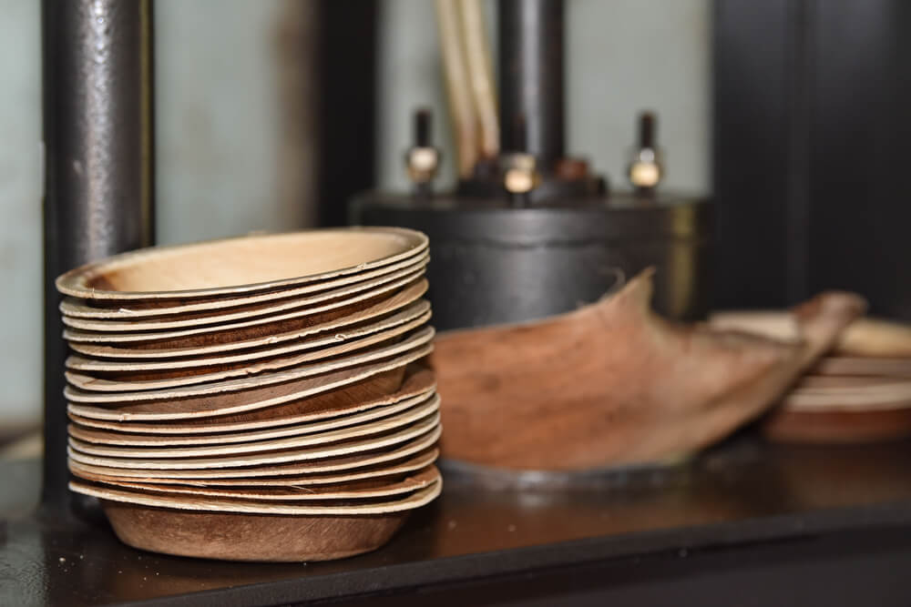 Palm Leaf Plates Manufacturers in the USA Expensive