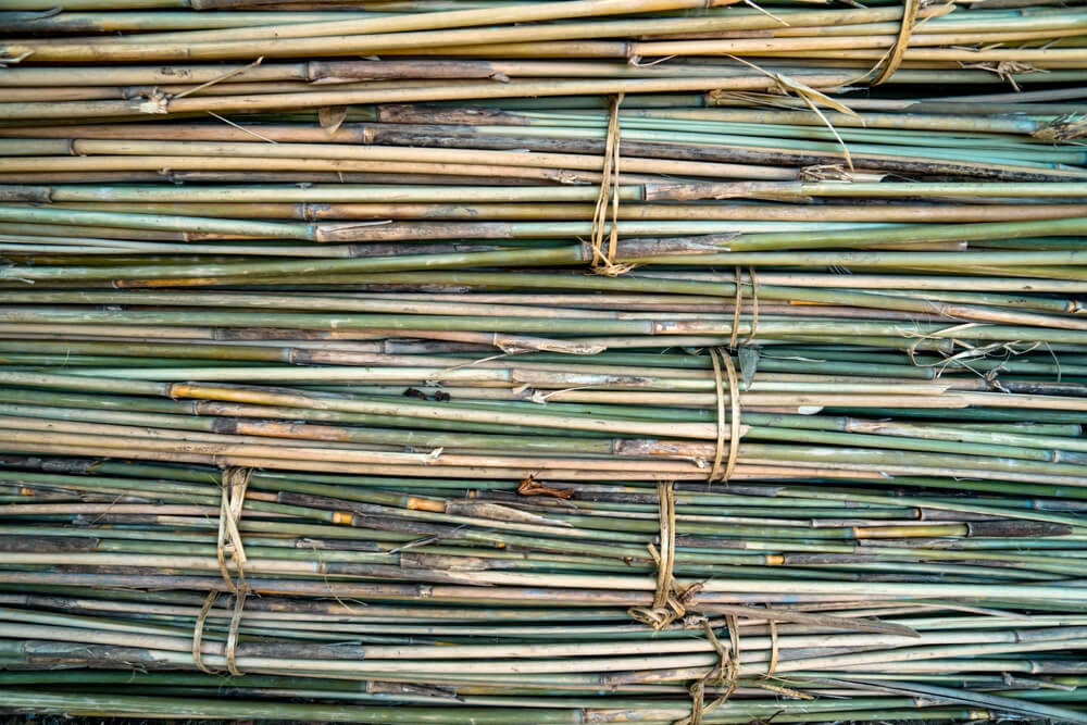 how-long-does-it-take-to-make-bamboo-straws