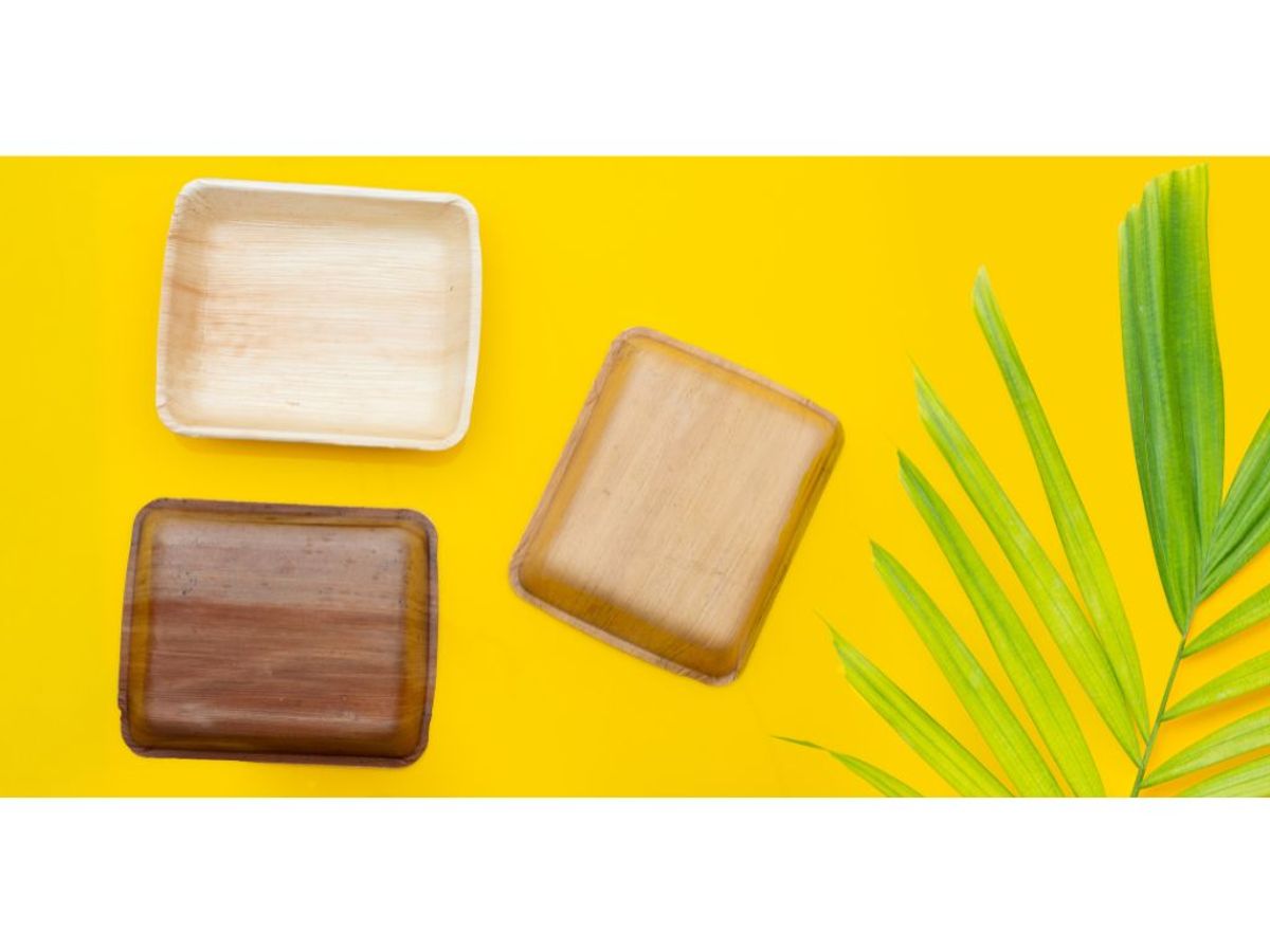 Customer Support and Post-Purchase Services