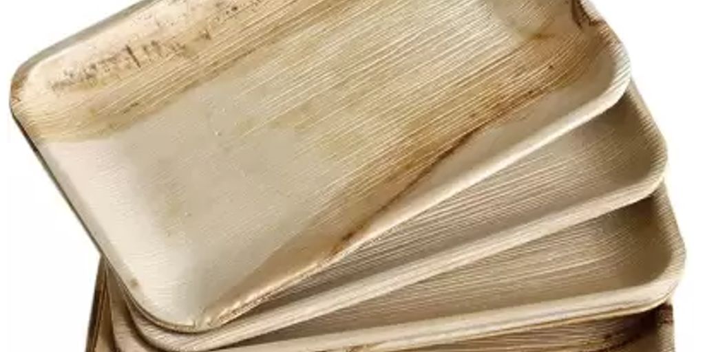 Quality and Safety Standards for Leaf Plates