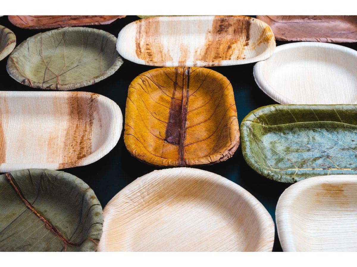 Marketing Palm Leaf Tableware for Businesses