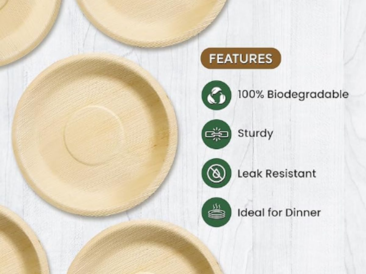 Choosing the Right Leaf Plates