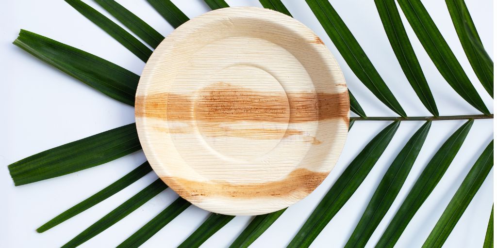 The Environmental Impact of Leaf Plates