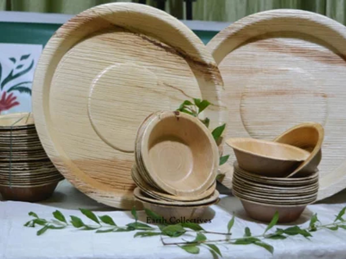 Shipping and Logistics Considerations