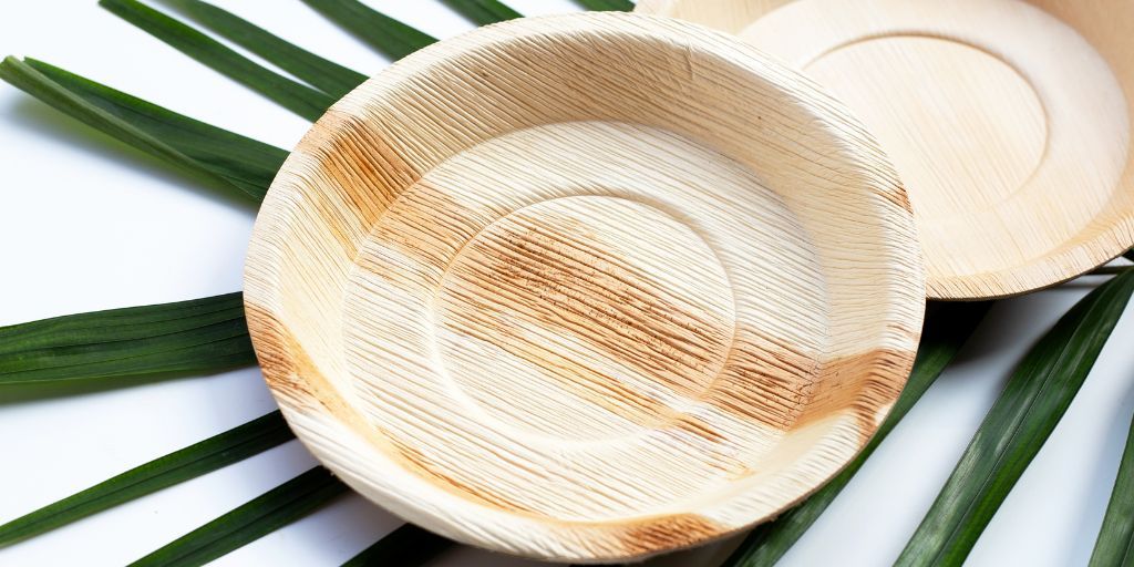 Top Brands Offering Bamboo Plates