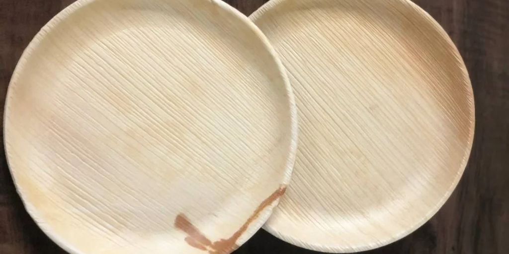 Understanding Palm Leaf Plates
