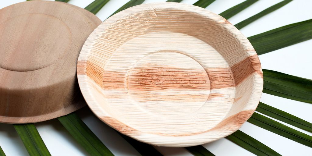 Economic Impact of Choosing Areca Plates