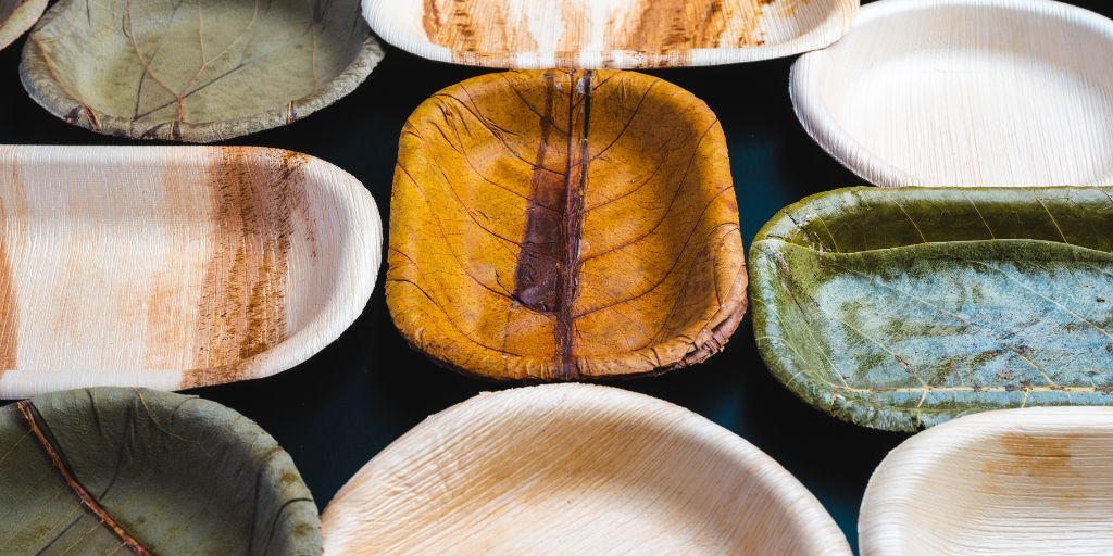 Understanding Areca Plates