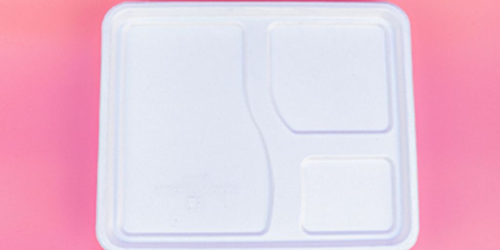 Bagasse and Government Regulations