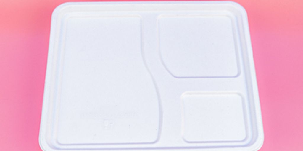 Bagasse and Health Implications