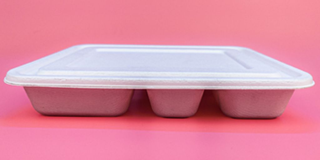 7. Bagasse Food Containers