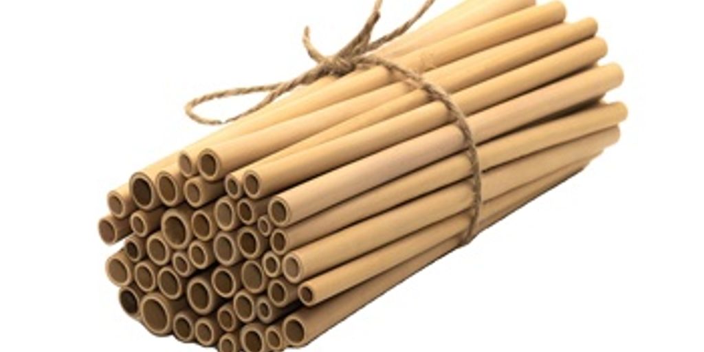 Environmental Impact of Bamboo Straws