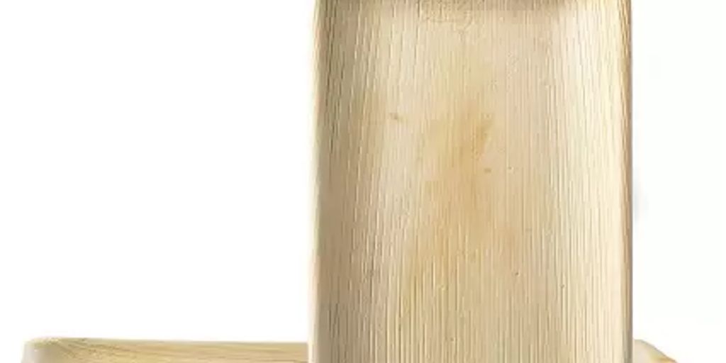 Understanding Leaf Plates