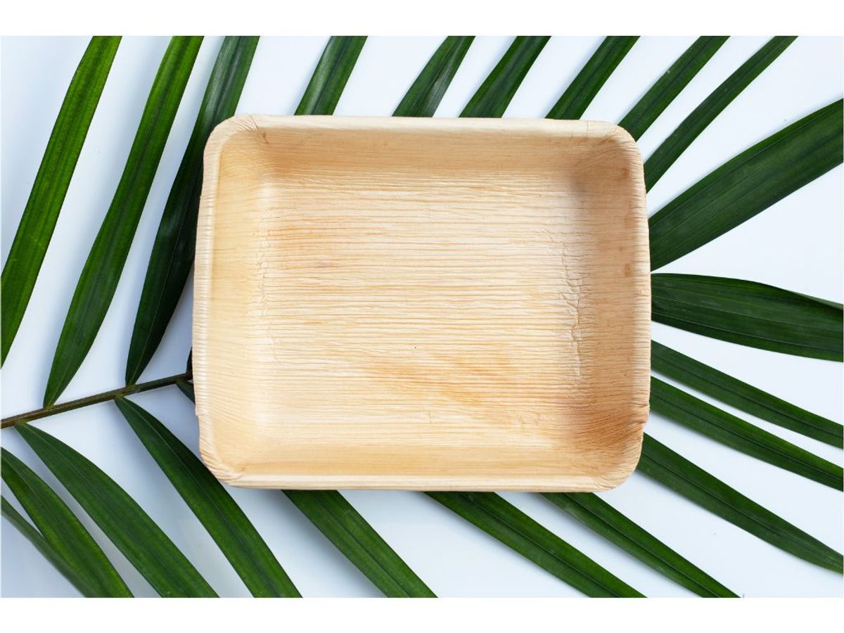 8. Compostable Paper Plates