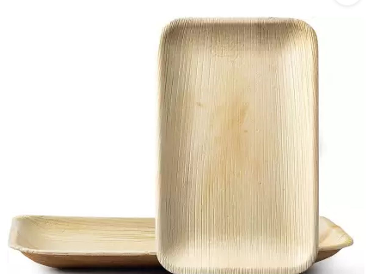 Understanding Palm Leaf Products