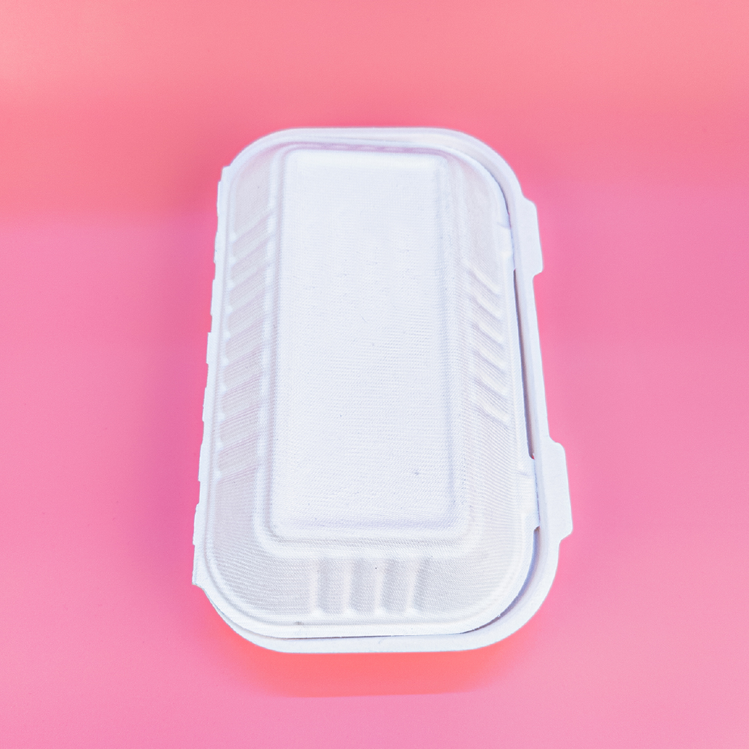 Compostable sugarcane bagasse food container made by Arbhu Enterprises