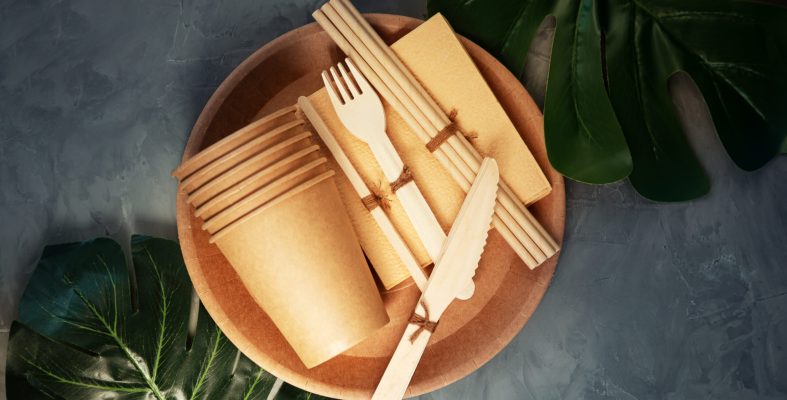 Natural eco-friendly bamboo and paper tableware. Recycling conce Natural eco-friendly bamboo and paper tableware. The concept of recycling, nature conservation and saving the earth.