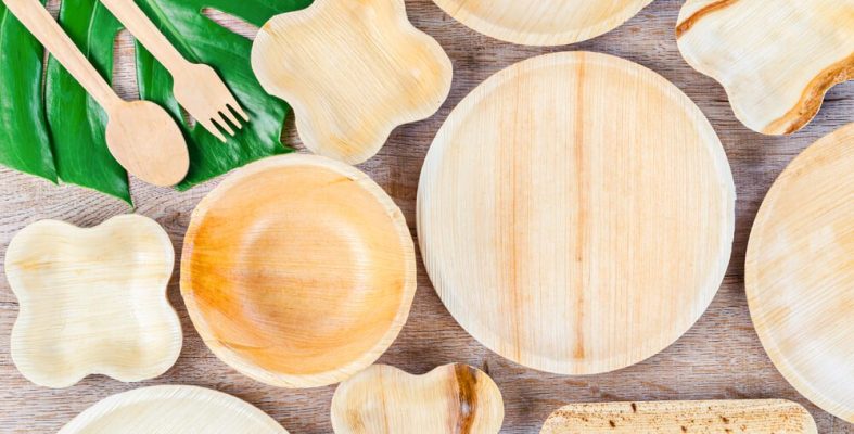 export agent for areca leaf plates export agent for areca leaf plates